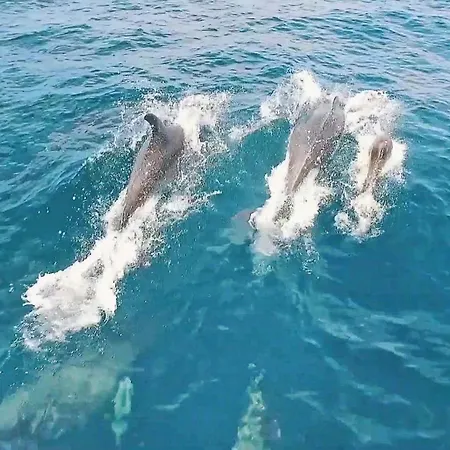 Waikiki By Algarve Vacation Albufeira