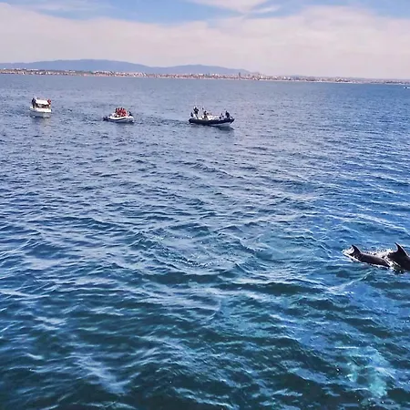 Villa Waikiki By Algarve Vacation Albufeira